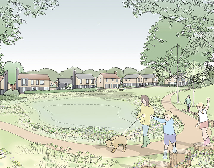 Illustrative view looking towards Beaumont Glade from woodland edge