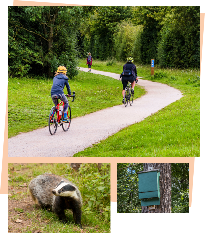 Collage of images showing the various environmental benefits the proposals aim to deliver